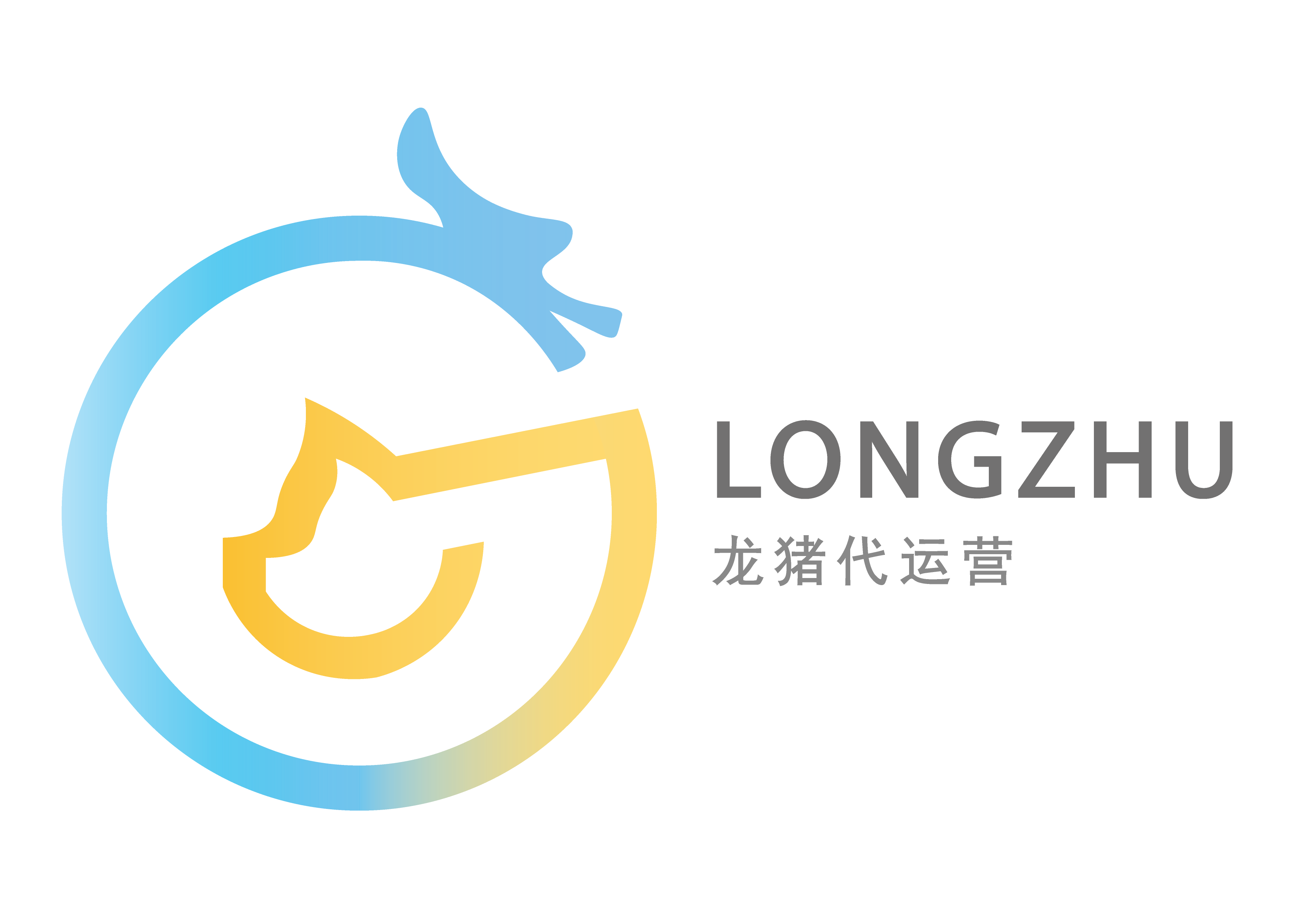 龙猪代运营官网
